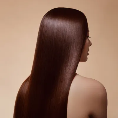 Back view of smooth, shiny, long brown hair